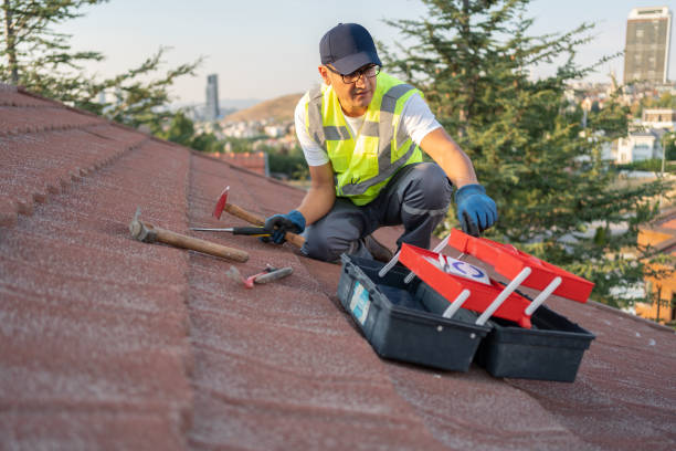 Best Siding Removal and Disposal  in Temple City, CA